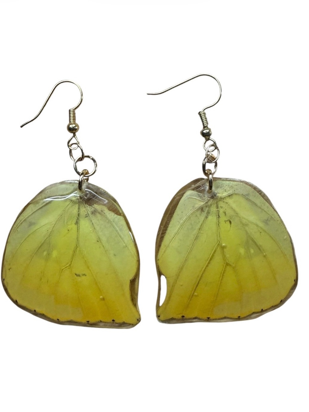 Real Orange-Barred Sulphur Butterfly Earrings .